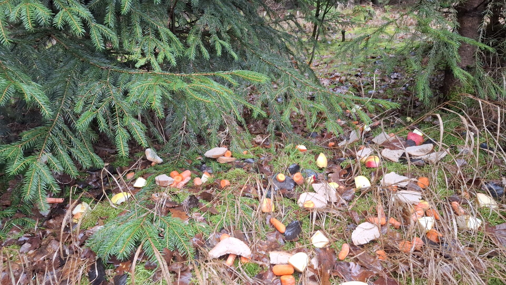 Nadílka pro zvířátka