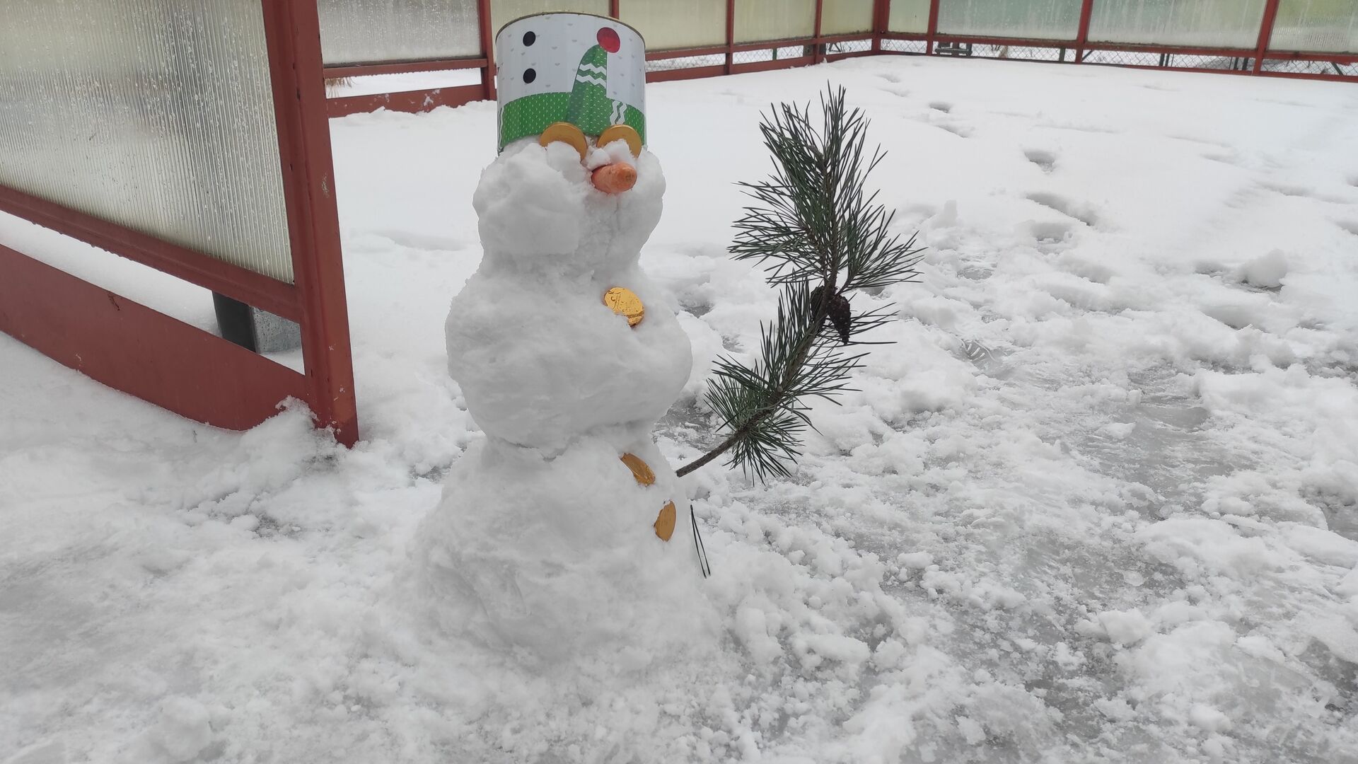 Zimní školní zahrada I.