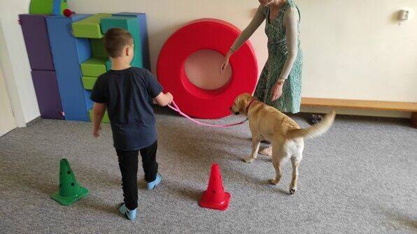 A ještě jednou canisterapie