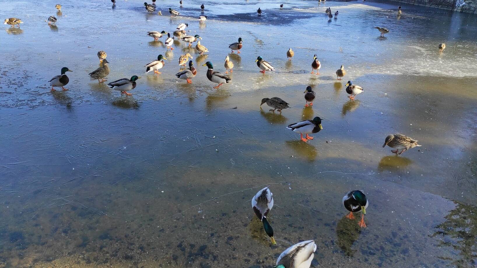 Tělesná výchova - přehrada 