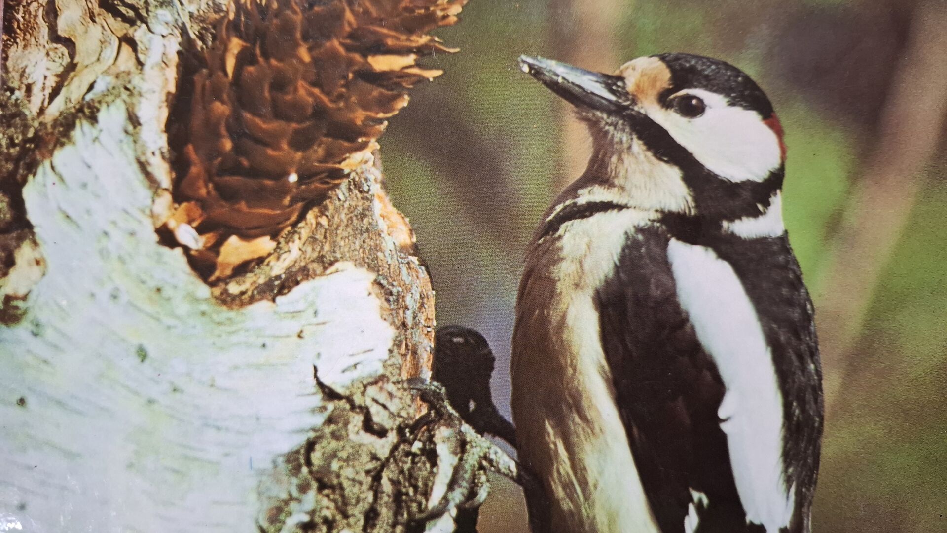 Grafomotorická cvičení