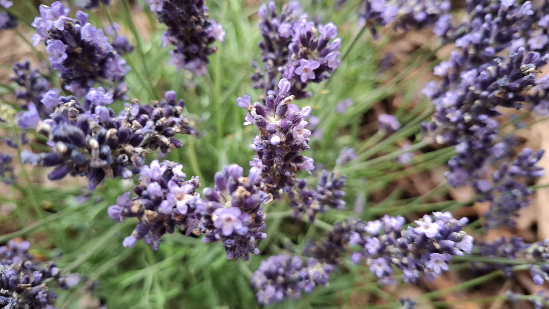 Nový školní rok začíná, vítejte