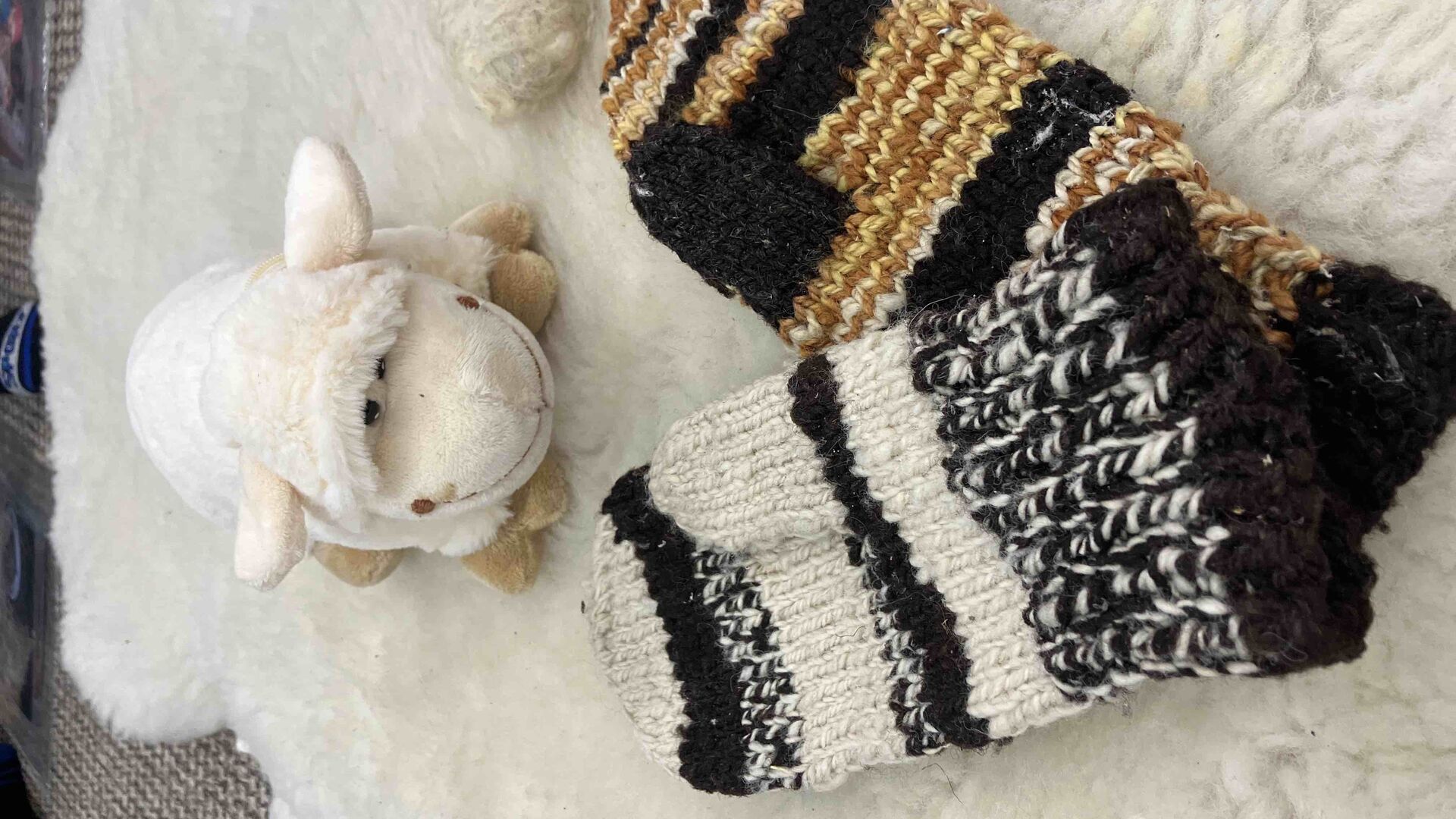 Vlnění v ekocentru