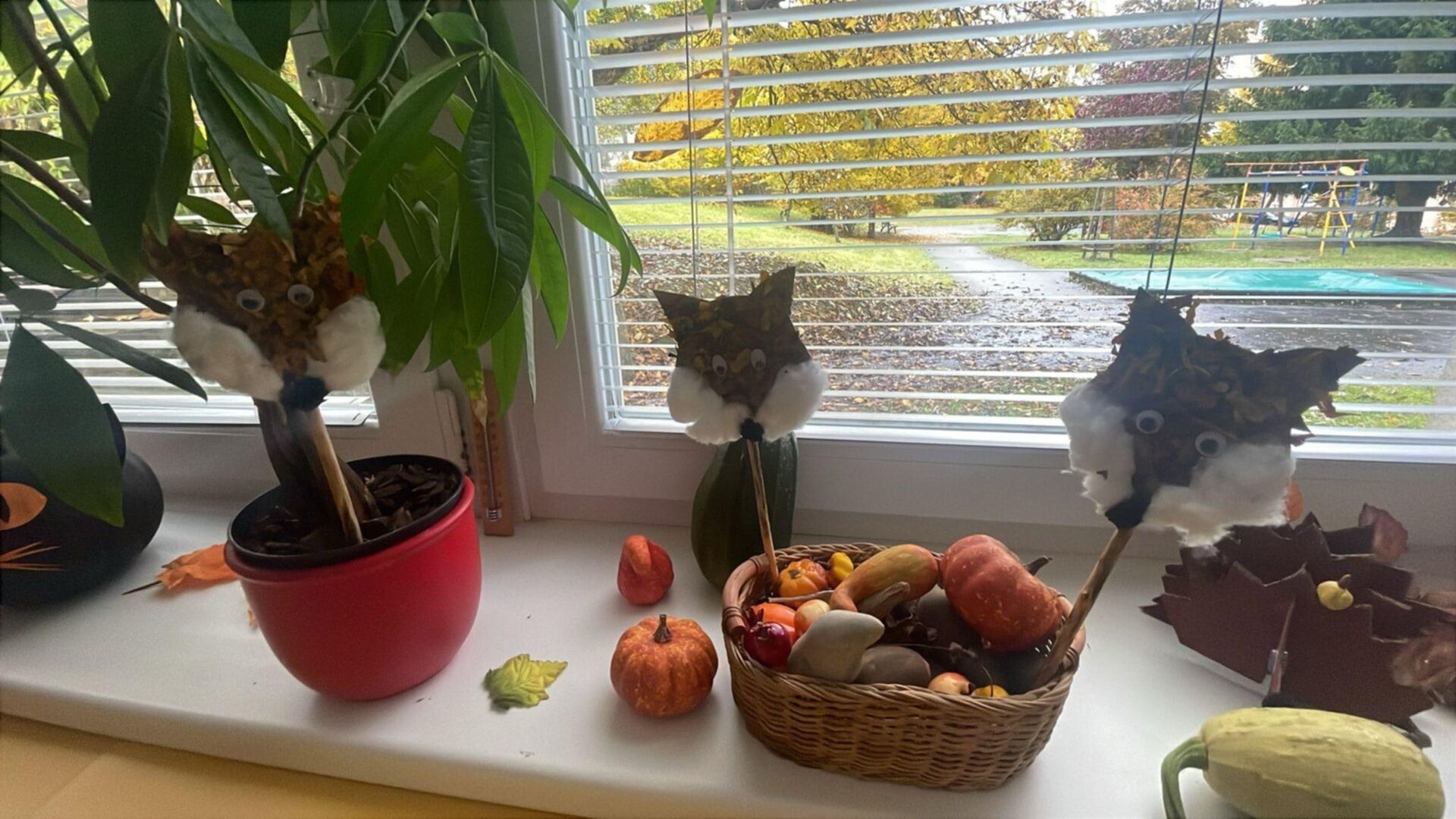 Podzim v plném proudu a canisterapie