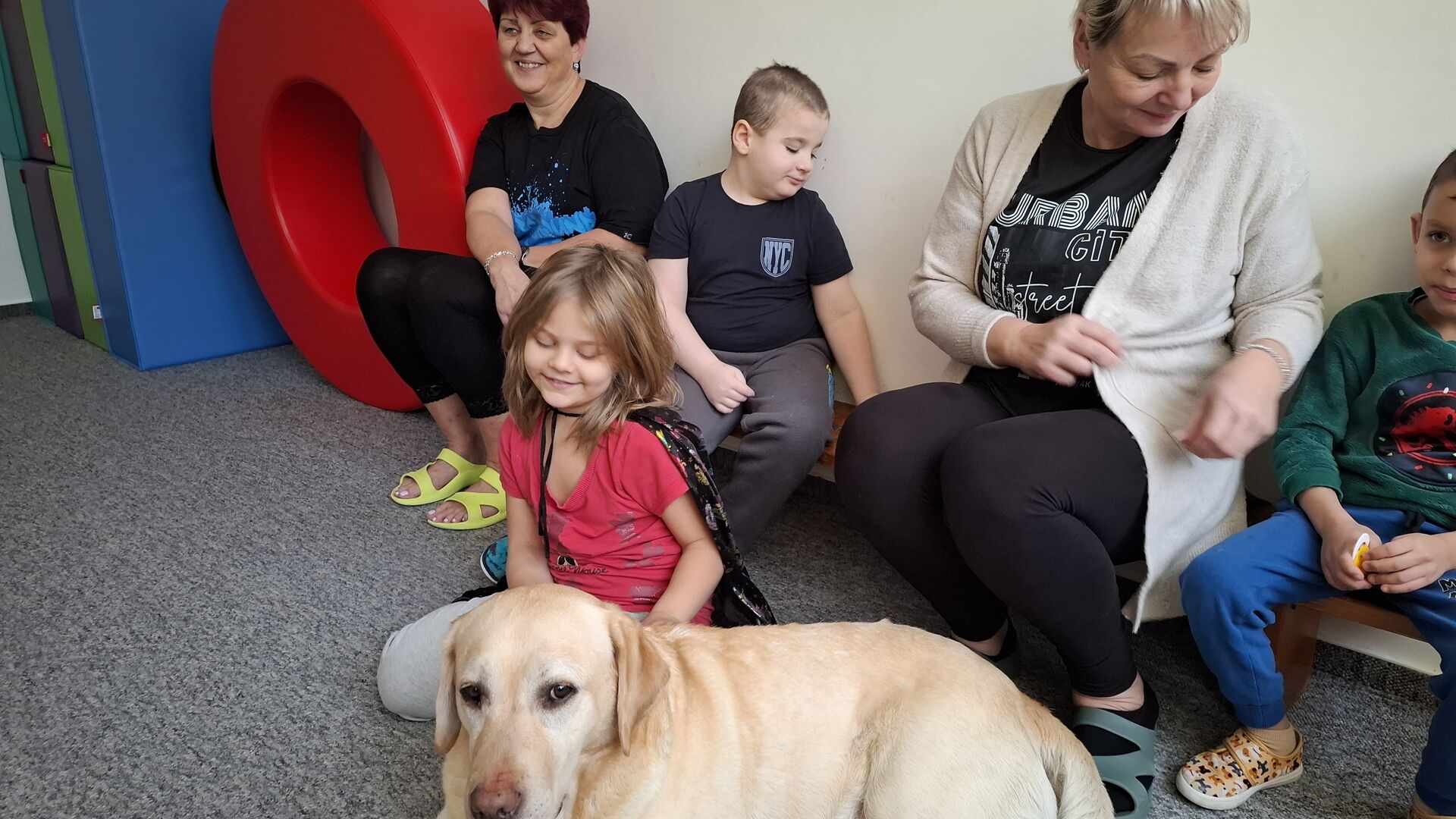 Canisterapie - Leden