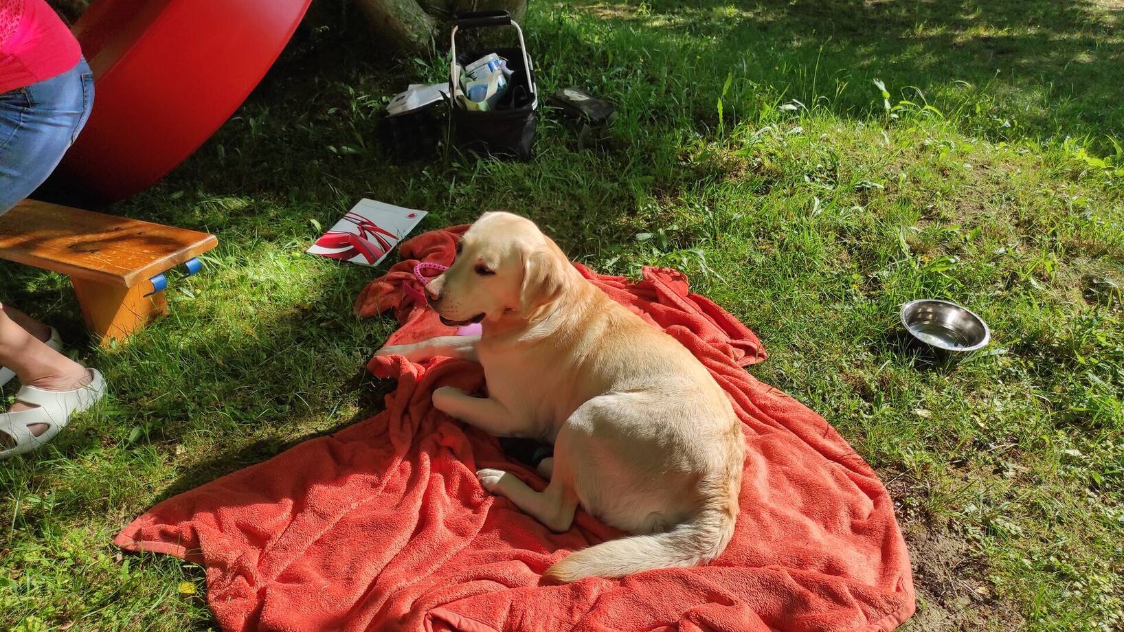 Poslední návštěva Kačenky v tomto školním roce