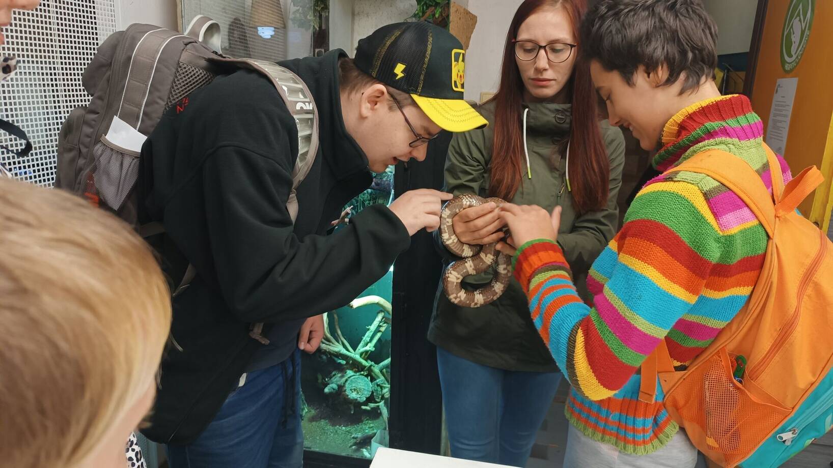 Den zvířat s Vikýřem