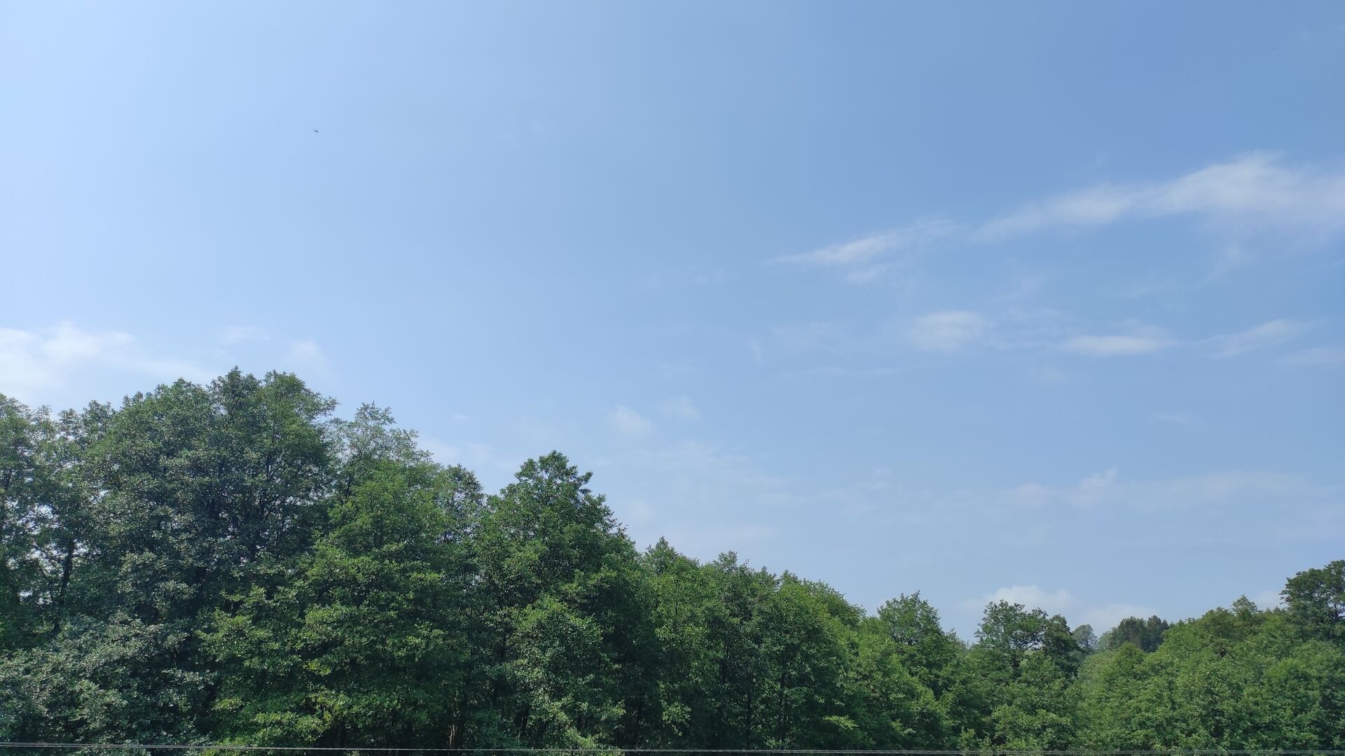 Školní rok 2023 - 2024 je u konce