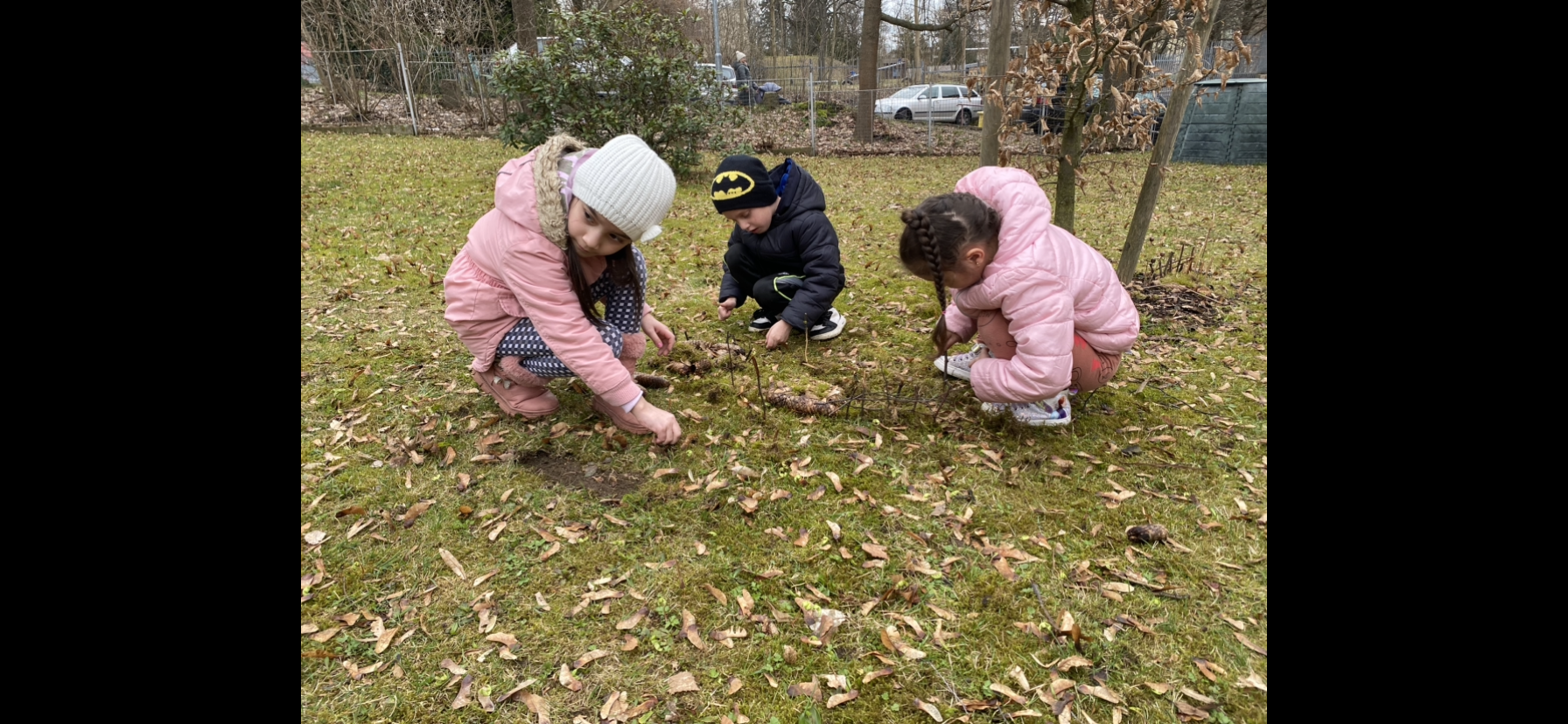 Stavíme domečky pro zvířátka