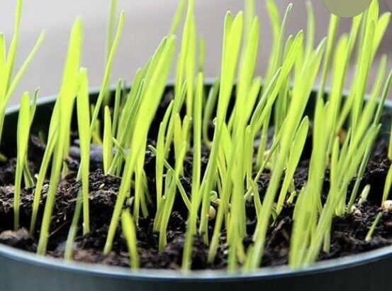 Jaro se pomalu blíží