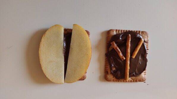 Poznáváme stopy zvířat I.