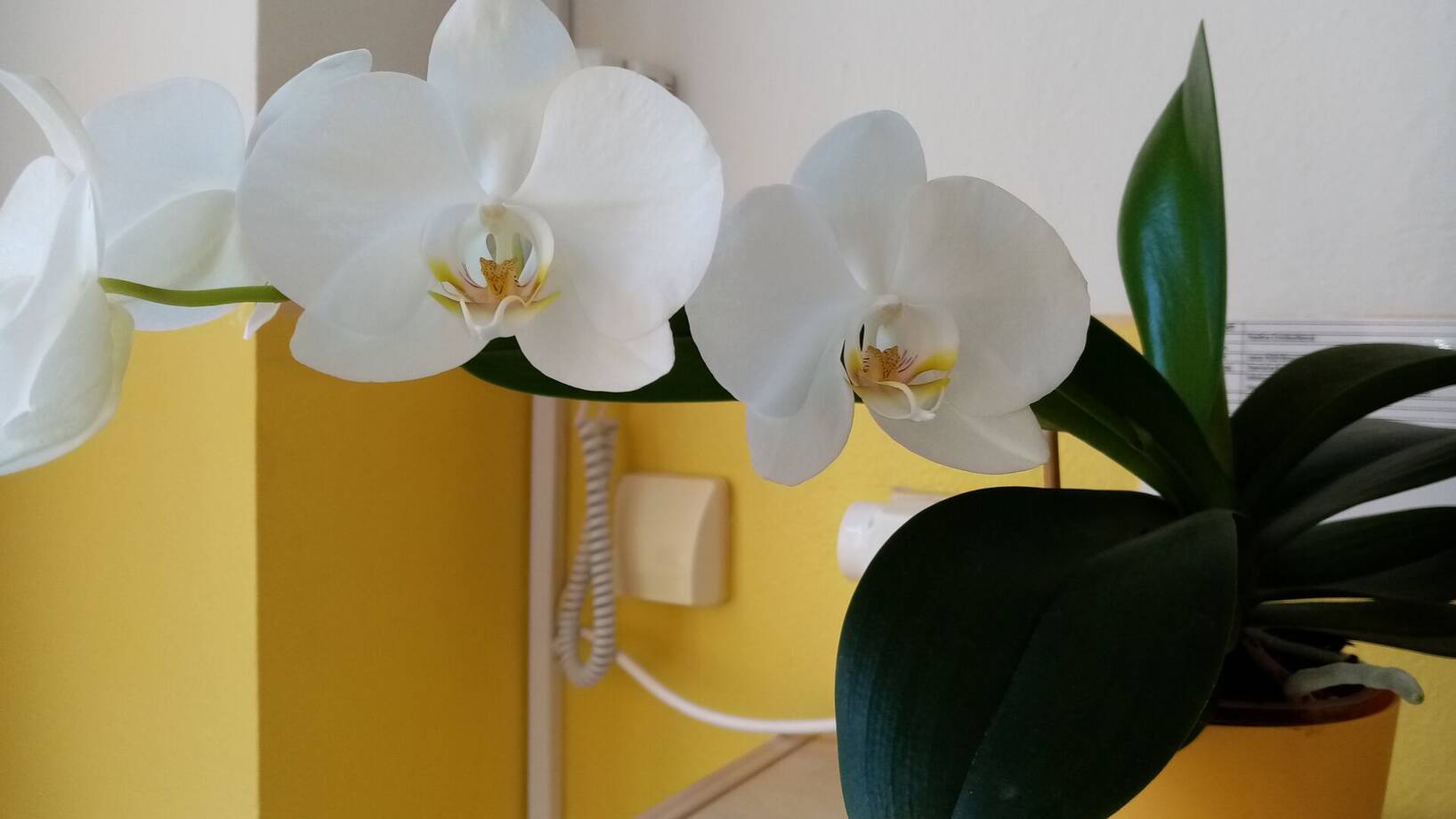 První týden v přípravné třídě