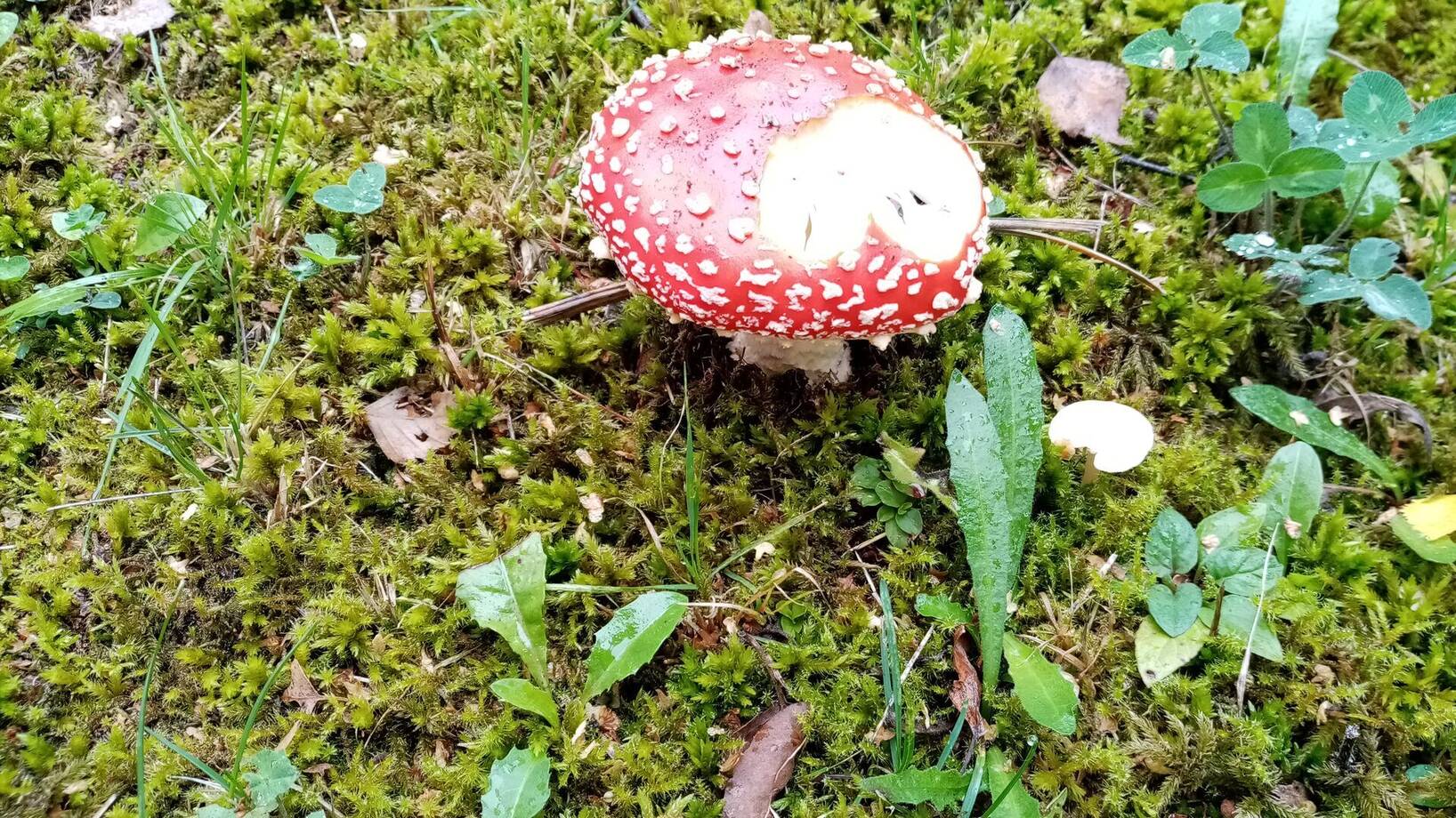 Pilné děti z přípravné třídy