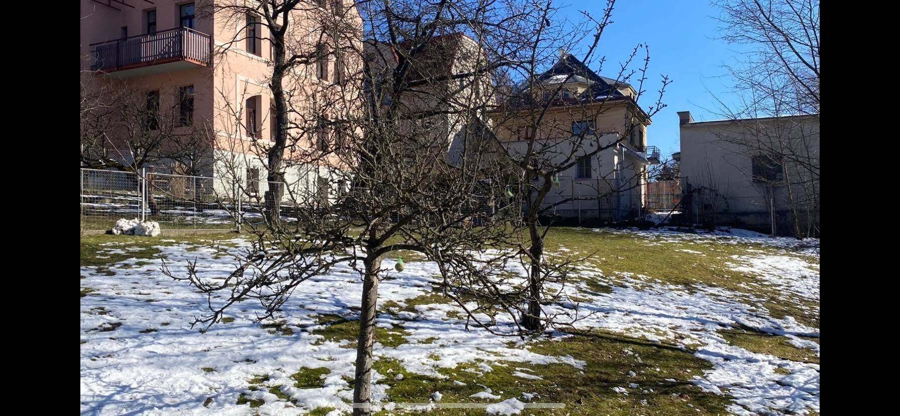 Věšíme ptáčkům lojové koule s oříšky na stromy, na zahradě :-)