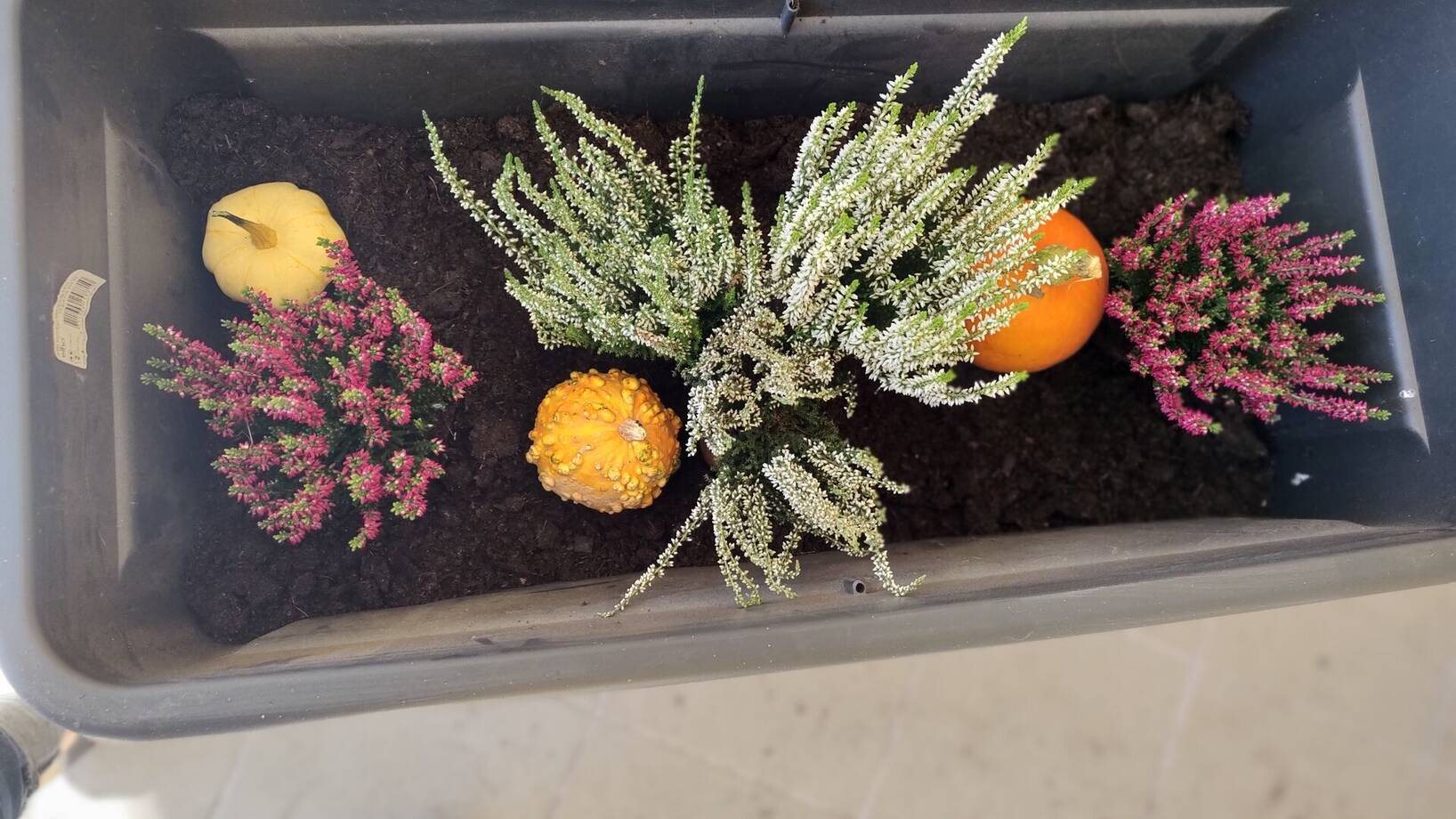 Odpolední vyučování 