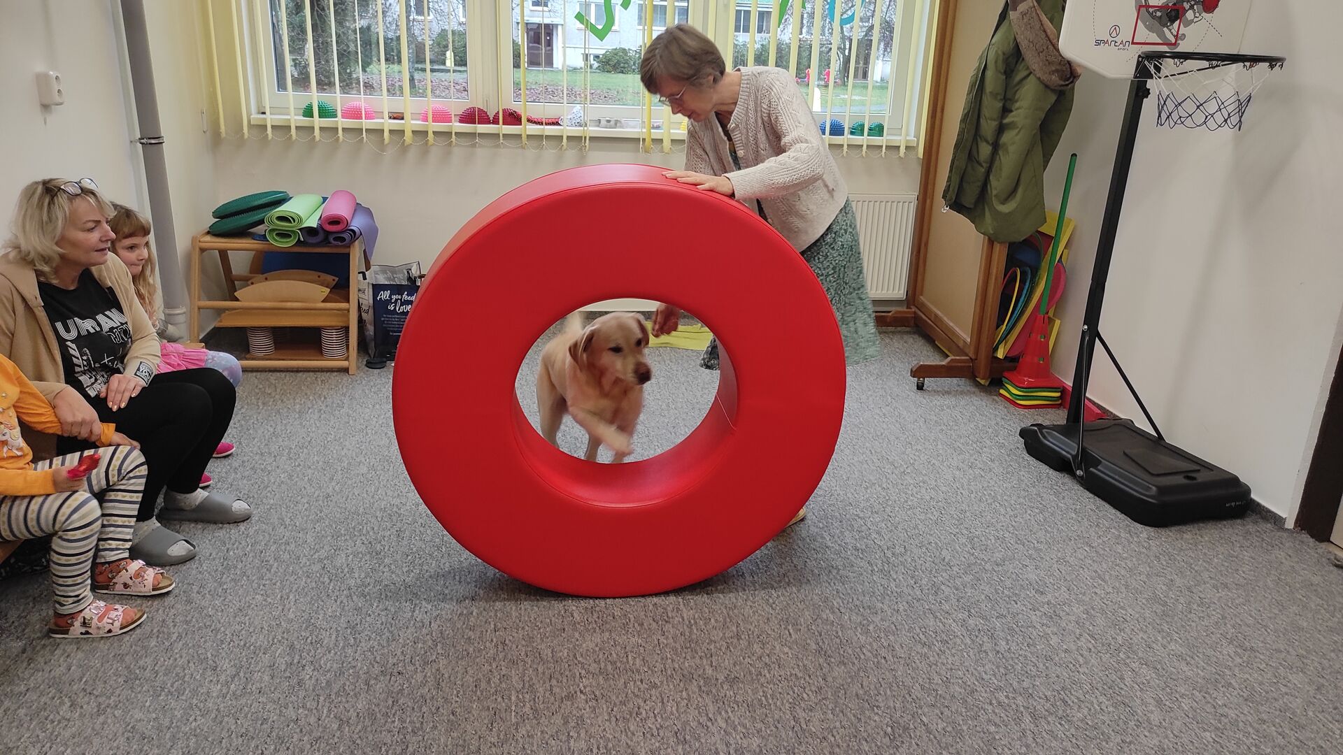 Listopadová canisterapie