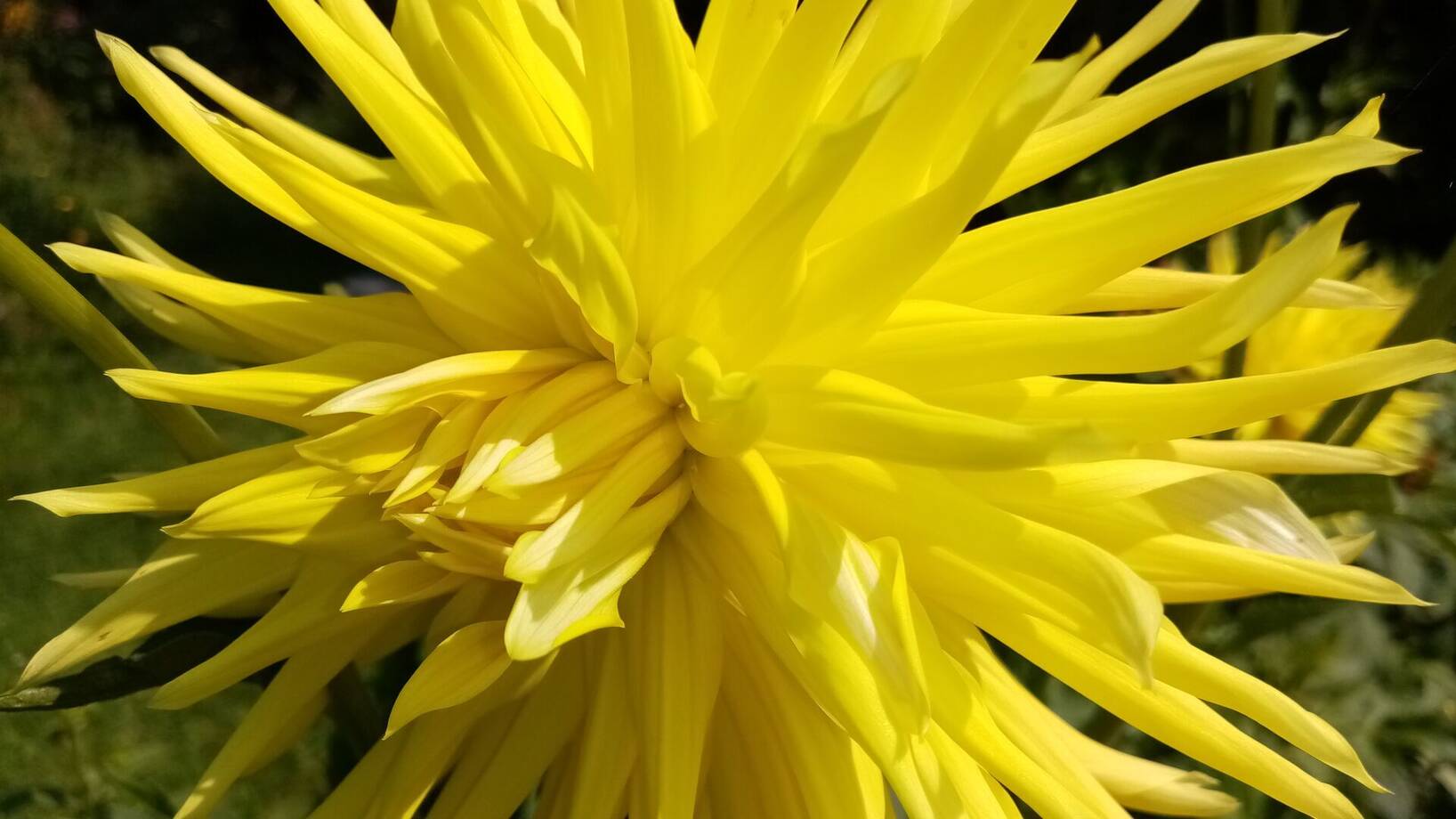 Radost z kreslení a malování