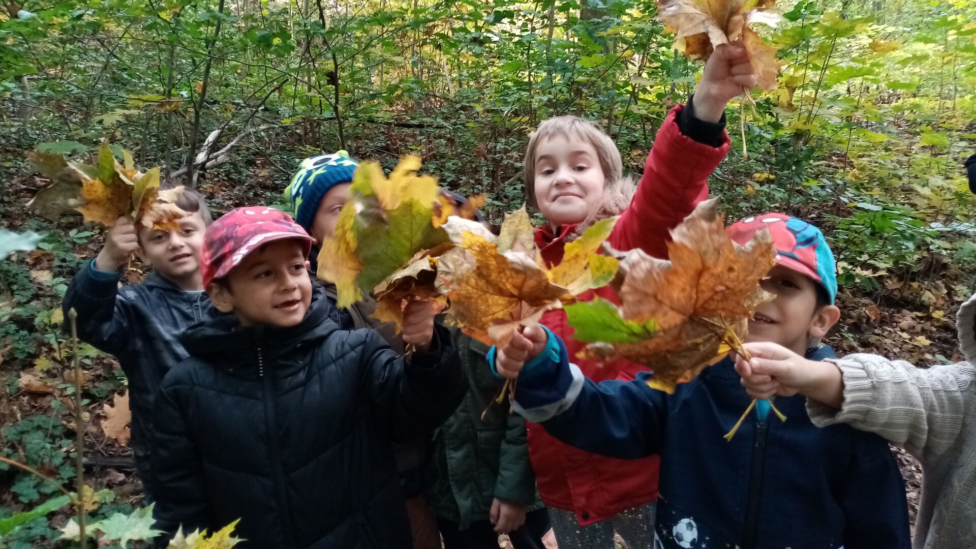 Přírodniny ve výuce
