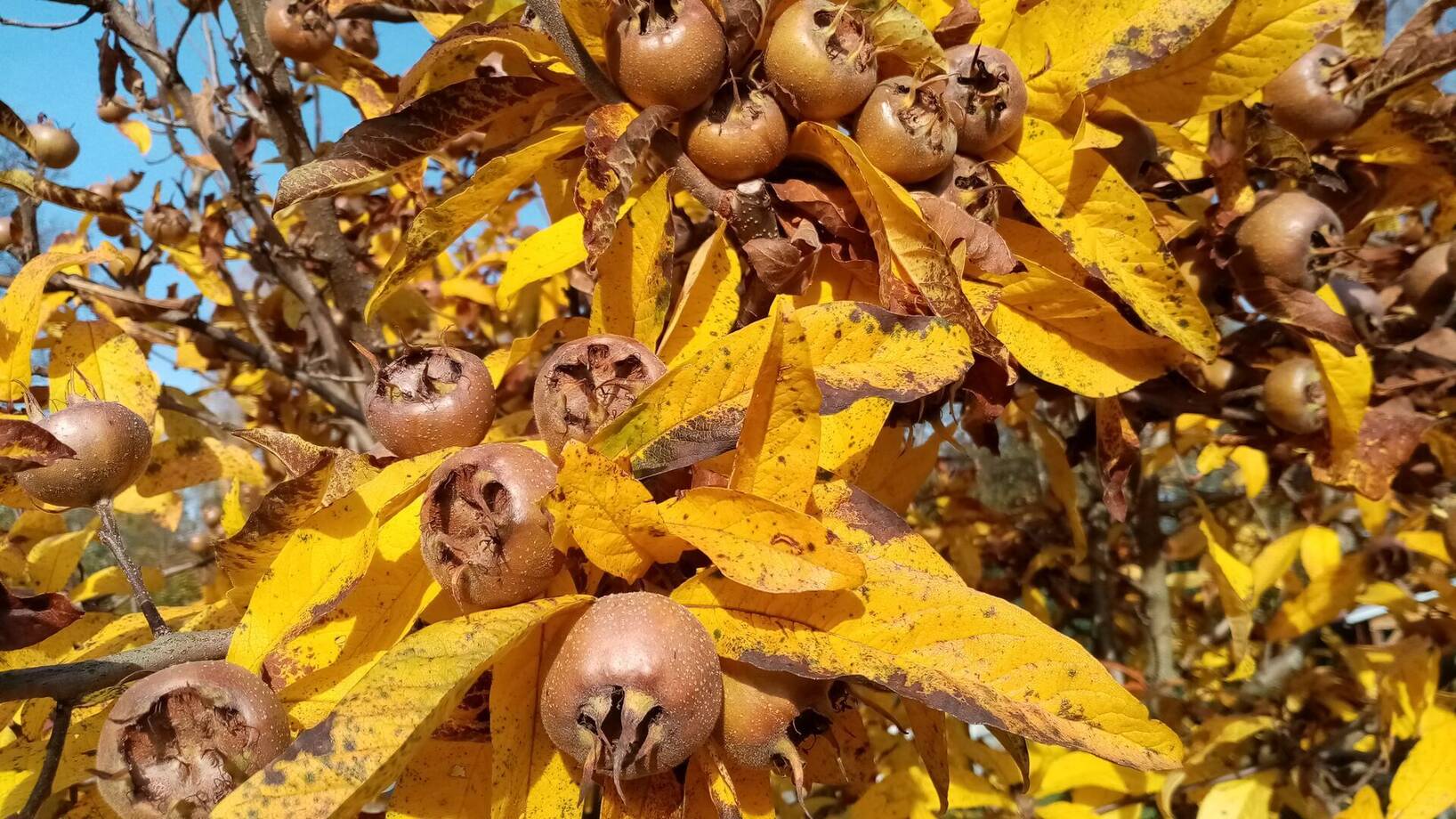 Halloweenské tvoření